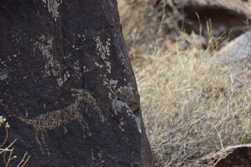 Petroglyphs at Three Rivers Petroglyph Site, New Mexico