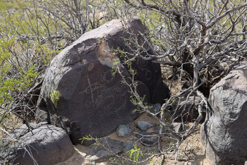 Petroglyphs at Three Rivers Petroglyph Site, New Mexico
