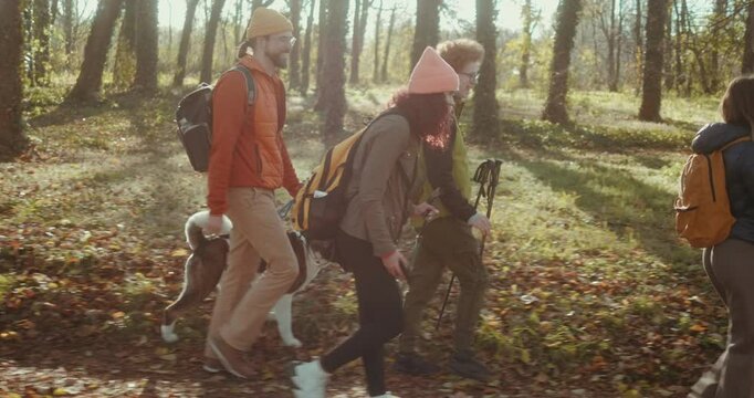 Side view of a group of teenage hikers with trekking poles and dog walking on a footpath through a forest exploring nature