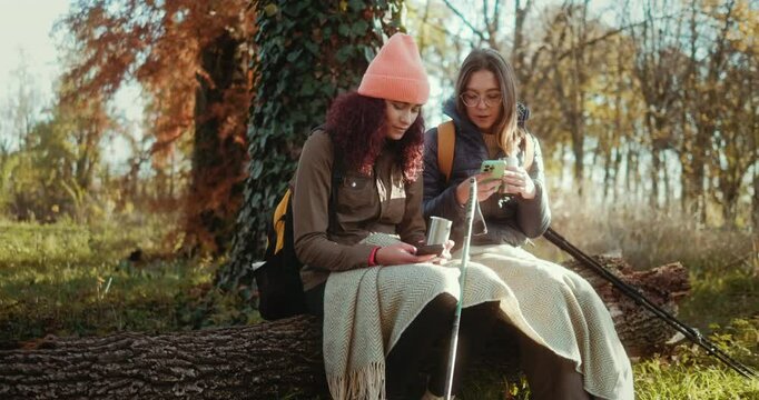 Two female teen friends are taking a hiking break sitting on a fallen tree in the forest, using mobile phones, checking online route maps, or watching social networks and drinking tea