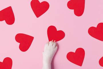 White dog paw on a red paper heart on a pastel pink background. Love for animals concept, top view