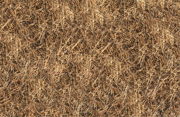 Background of pine needs dry and on the ground