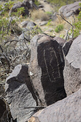 Petroglyphs at Three Rivers Petroglyph Site, New Mexico