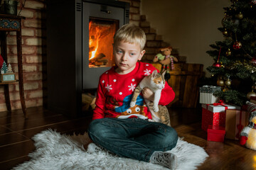 adorable little boy at home at Christmas with cute little cat