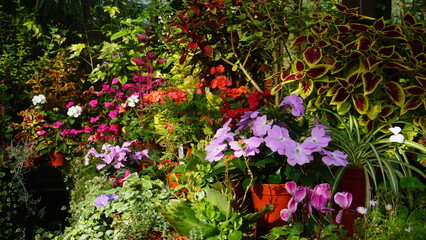 botanic garden and flowers plus architecture