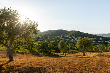 Camping on the Cote d'Azur