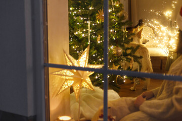 Atmospheric christmas eve at home. Cute cat and adorable dog sitting at christmas tree lights in snowy window. Holiday magical scene. Pet and winter holiday