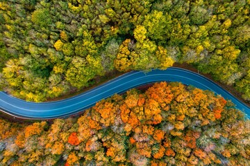 Aerial view of winding road through autumn forest.