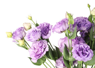 Bouquet of violet eustoma flowers with green leaves isolated on white