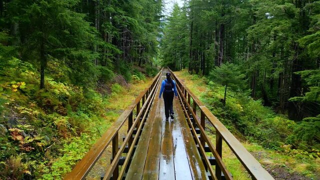 Woman walking on raised wooden path through rainforest green tree forest in Juneau Alaska