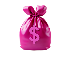 a pink bag with a dollar sign