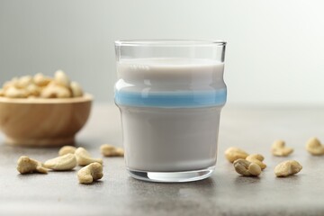 Fresh cashew milk in glass and nuts on grey textured table, closeup