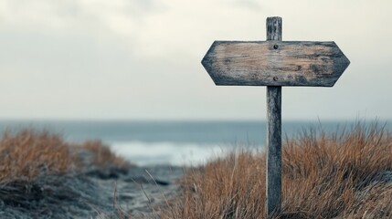 Blank wooden signpost markers