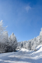 winter landscape with snow at uludag, bursa