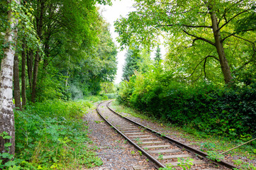 Scenic view of a curved railway track surrounded by dense green forest and natural vegetation. 