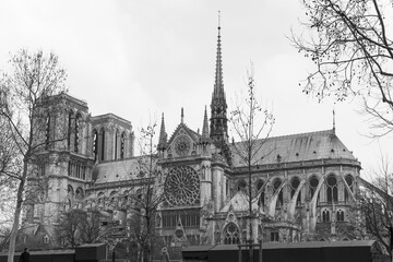  A captivating black-and-white image of Notre Dame Cathedral, emphasizing the grandeur of its gothic architecture and detailed facade surrounded by bare winter trees under an overcast sky