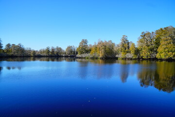 Winter Landscape of Hillsborough river at Lettuce lake park	
