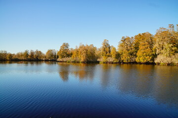Winter Landscape of Hillsborough river at Lettuce lake park	
