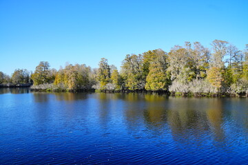 Winter Landscape of Hillsborough river at Lettuce lake park	
