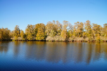 Winter Landscape of Hillsborough river at Lettuce lake park	
