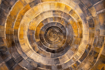 Fototapeta premium Cross-section of a tree trunk, concentric growth rings in golden and brown tones, detailed and timeless