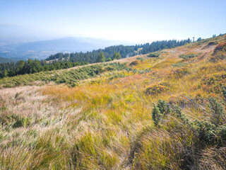Panorama of Vitosha Mountain, Bulgaria
