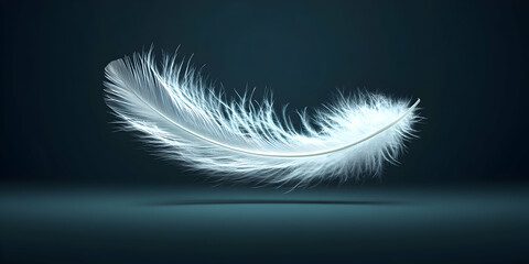Obraz premium White Feather Floating in Dark Background
