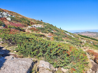 Panorama of Vitosha Mountain, Bulgaria