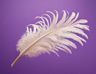 White ostrich feather with fluffy texture tenderly flying over violet studio background. Grace and simplicity. Ai generated images