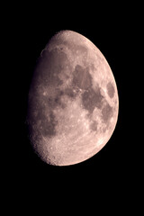 37 11/11/2024 Waxing Gibbous Moon at 81.3% Illumination Stretched into Egg Shape