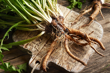 Whole dandelion root on a wooden table