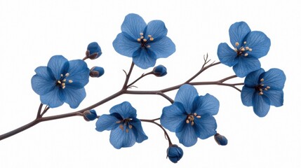 Blooming blue flowers nature's beauty floral photography outdoor setting close-up view serenity and growth