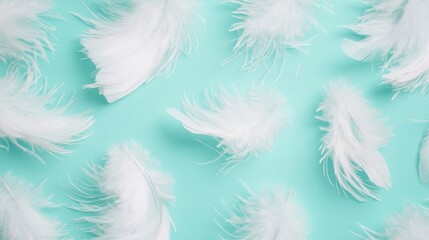 Obraz premium Soft white feathers floating on aqua background abstract art minimalist design calm atmosphere close-up view
