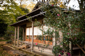秋の日本茶屋