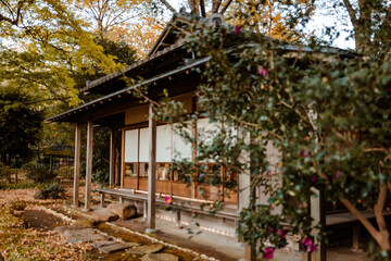 秋の日本茶屋