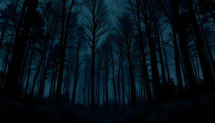 Fototapeta premium Dark gloomy forest. Night in the forest isolated with white highlights, png
