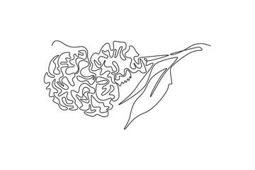 Continuous one line drawing beauty fresh brain celosia for garden logo. Printable decorative cockscomb flower for home decor wall art print poster. Single line draw design vector graphic illustration
