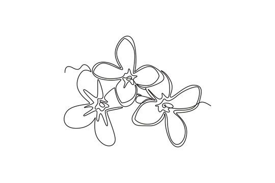 Single continuous line drawing beauty fresh syringa vulgaris for garden logo. Printable decorative lilac flower concept for home decor wall art poster. One line draw graphic design vector illustration