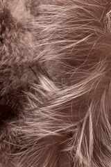 Gray and black natural fur. Textured background. Slow fashion