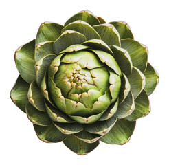 Obraz premium Artichoke displayed from an aerial perspective, cut out - stock png.