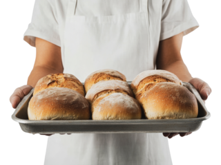 Freshly baked bread rolls on a tray, cut out - stock png.