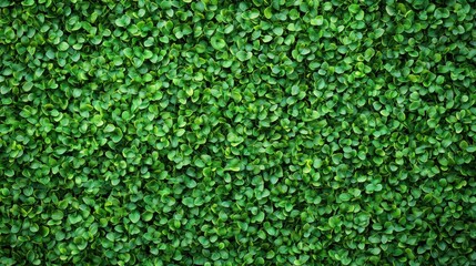 Lush Green Foliage Texture Background with Vibrant Leaves Ideal for Nature and Gardening Themes, Perfect for Website, Print, and Creative Projects
