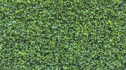 Lush Green Leafy Wall Texture for Organic and Natural Backgrounds, Perfect for Sustainable Design, Gardening, and Eco-Friendly Projects