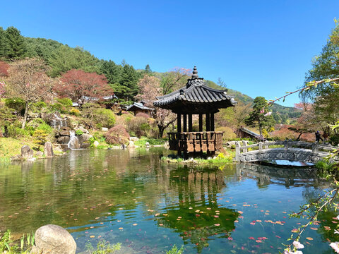 The Garden of Morning Calm