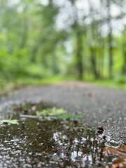water drops on the ground