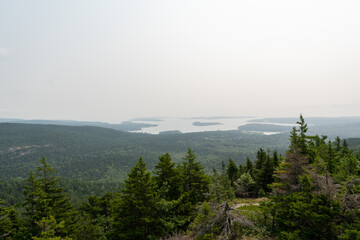 Panoramic View of Forested Landscape and Long Pond in Acadia National Park