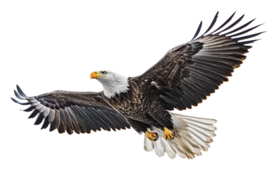  Bald eagle soaring in clear blue sky, cut out - stock png. © Mr. Stocker