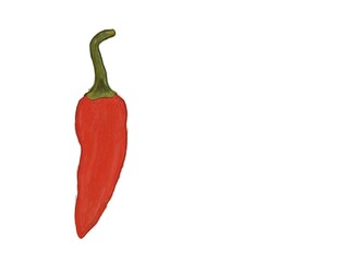 Red chili pepper, hand drawn illustration.  Vibrant red chili pepper illustration. Hand drawn red chili pepper. Isolated.  White background.  Food illustration.