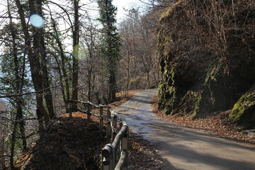 Monti Motti