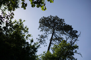 Naturaleza mexicana, en Chipinque San Pedro Garza Garc&iacute;a